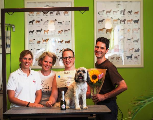 Ausbildungspaket Hundestylist FCI Komplettkurs